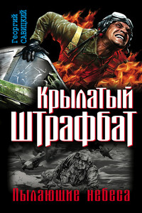 Крылатый штрафбат. Пылающие небеса - Георгий Валерьевич Савицкий