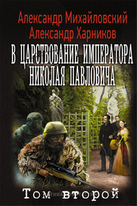 В царствование императора Николая Павловича. Том 2 - Александр Борисович Михайловский