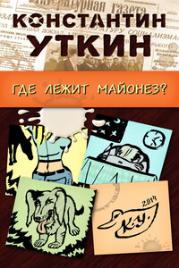 Забавные моменты, или «Где лежит майонез?» - Константин Александрович Уткин