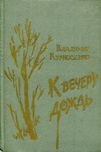 К вечеру дождь - Владимир Владимирович Курносенко