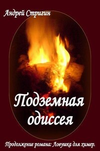 Подземная одиссея - Андрей Николаевич Стригин