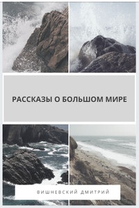 Рассказы о большом мире - Дмитрий Юрьевич Вишневский