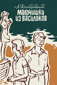 Мальчишки из Васильков - Анатолий Иванович Домбровский