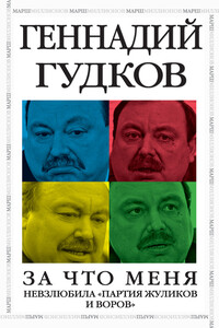 За что меня невзлюбила «партия жуликов и воров» - Геннадий Владимирович Гудков