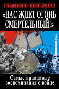 Нас ждет огонь смертельный! - Владимир Николаевич Першанин