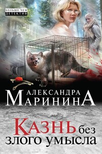 Казнь без злого умысла - Александра Маринина