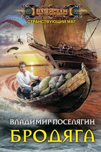 Бродяга - Владимир Геннадьевич Поселягин