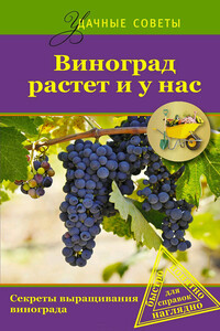 Виноград растет и у нас - Юрий Загвоздин