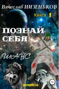 Познай себя… Шанс - Вячеслав Низеньков