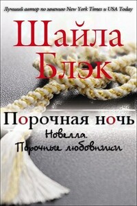 Порочная ночь - Шелли Брэдли