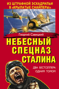 Небесный спецназ Сталина. Из штрафной эскадрильи в «крылатые снайперы» (сборник) - Георгий Валерьевич Савицкий