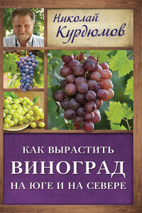 Как вырастить виноград на Юге и на Севере - Николай Иванович Курдюмов