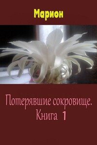 Потерявшие сокровище. Книга 1 - Марион