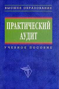 Практический аудит: учебное пособие - Наталья Дмитриевна Бровкина