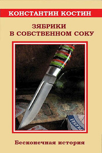 Зябрики в собственном соку, или Бесконечная история - Константин Константинович Костин