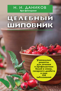 Целебный шиповник - Николай Илларионович Даников