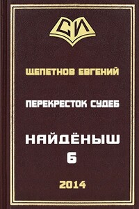 Перекресток судеб - Евгений Владимирович Щепетнов