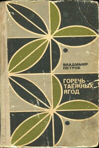 Яловые сапоги - Владимир Николаевич Петров