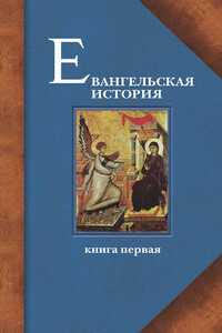 Евангельская история. Книга первая. События Евангельской истории начальные, преимущественно в Иерусалиме и Иудее - Павел Алексеевич Матвеевский