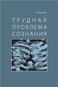 Трудная проблема сознания - Вадим Валерьевич Васильев