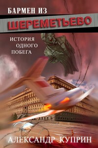 Бармен из Шереметьево. История одного побега - Александр Куприн