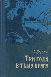 Три года в тылу врага - Илья Иванович Веселов