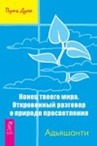 Конец твоего мира. Откровенный разговор о природе просветления - Адьяшанти