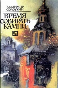 Продолжение времени - Владимир Алексеевич Солоухин