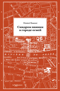 Синдром паники в городе огней - Матей Вишнек