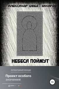 Небеса поймут - Александр Швед-Захаров