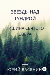 Звезды над тундрой. Тишина Святого озера - Юрий Павлович Васянин