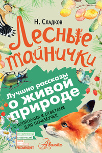 Лесные тайнички. С вопросами и ответами для почемучек - Николай Иванович Сладков