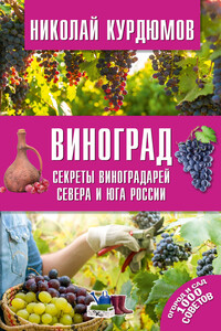 Виноград. Секреты виноградарей севера и юга России - Николай Иванович Курдюмов