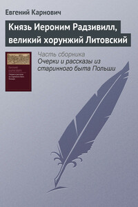 Князь Иероним Радзивилл, великий хорунжий Литовский - Евгений Петрович Карнович