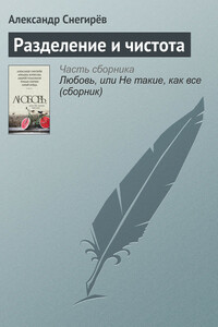 Разделение и чистота - Александр Снегирев