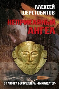 Неприкаяный ангел - Алексей Львович Шерстобитов