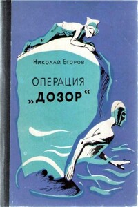 Операция «Дозор» - Николай Матвеевич Егоров