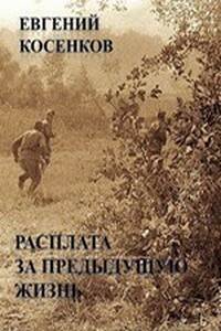 Расплата за предыдущую жизнь - Евгений Николаевич Косенков