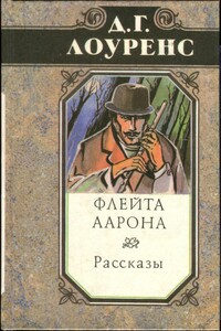 Флейта Аарона. Тень в розовом саду. Прусский офицер. Солнце - Дэвид Герберт Лоуренс