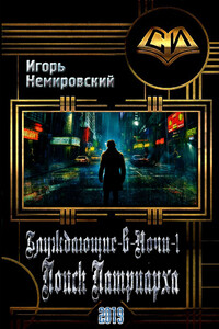 Поиск Патриарха - Игорь Леонидович Немировский