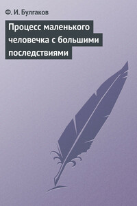 Процесс маленького человечка с большими последствиями - Федор Ильич Булгаков