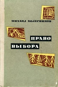 Право выбора - Михаил Сергеевич Колесников