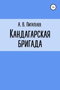 Кандагарская бригада - Александр Владимирович Питателев