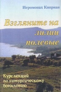 «Взгляните на лилии полевые…» Курс лекций по литургическому богословию - Киприан