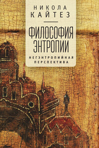 Философия энтропии. Негэнтропийная перспектива - Никола Кайтез