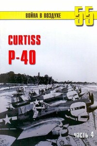 Curtiss P-40. Часть 4 - Альманах «Война в воздухе»