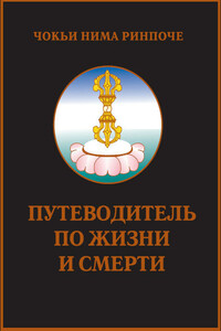 Путеводитель по жизни и смерти - Чоки Нима Ринпоче