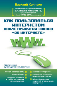 Как пользоваться Интернетом после принятия закона «Об Интернете» - Василий Халявин