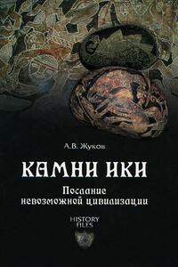 Камни Ики. Послание невозможной цивилизации - Андрей Жуков