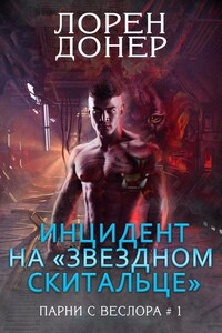 Инцидент на «Звездном Скитальце» - Лорен Донер